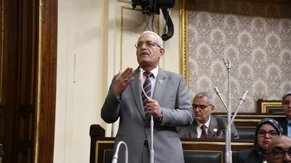 النائب عاطف مغاوري