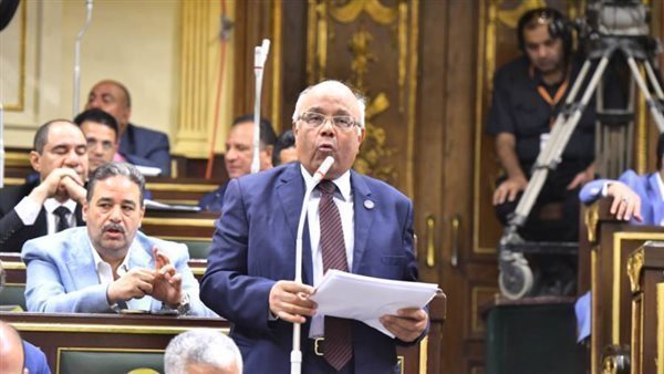  النائب محمد الفيومى