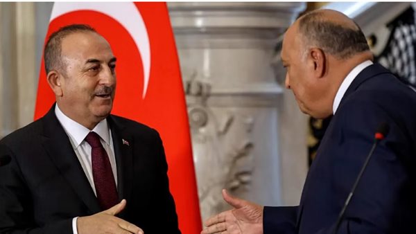 وزير الخارجية المصري