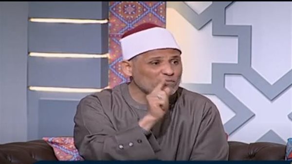 فتحي الزيات