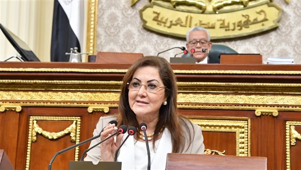 وزيرة التخطيط أمام