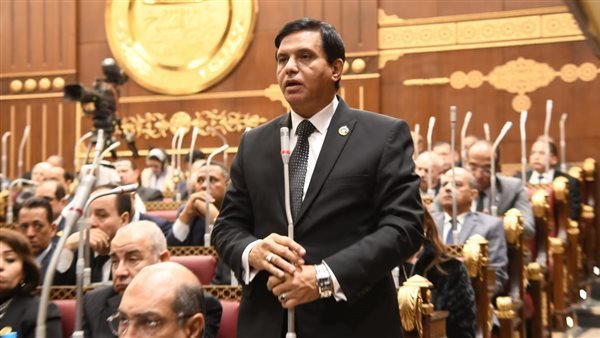 النائب طارق نصير