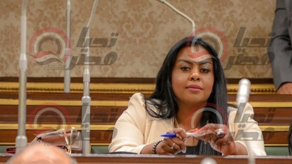 النائبة نيفين حمدي