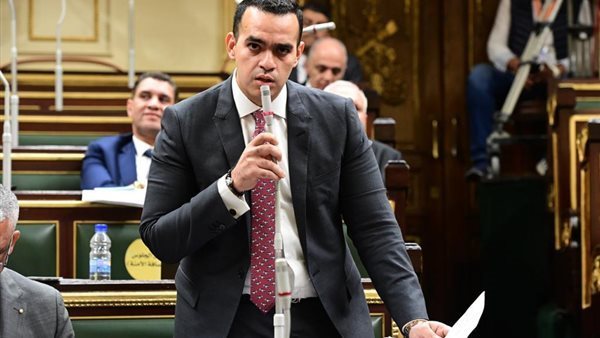  النائب محمود توشكي