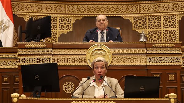 المستشار عبد الوهاب