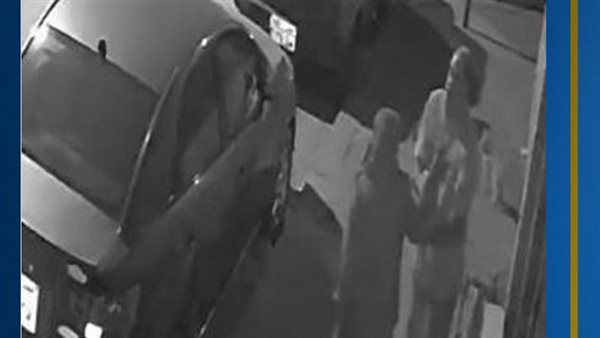 فيديو سيدة الجيزة