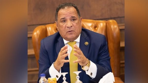 النائب محمد صلاح