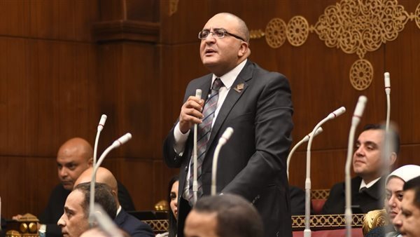 النائب عمرو عزت