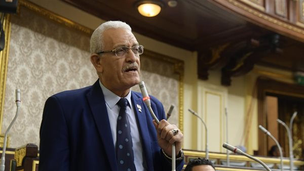 النائب عاطف المغاوري