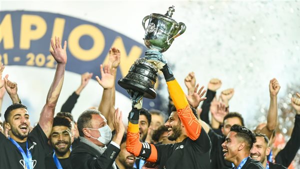 محمد الشناوي 