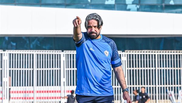 مدحت عبد الهادي 