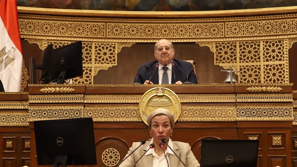 جلسة مجلس الشيوخ