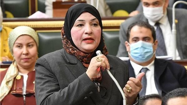 النائبة أميرة الحداد