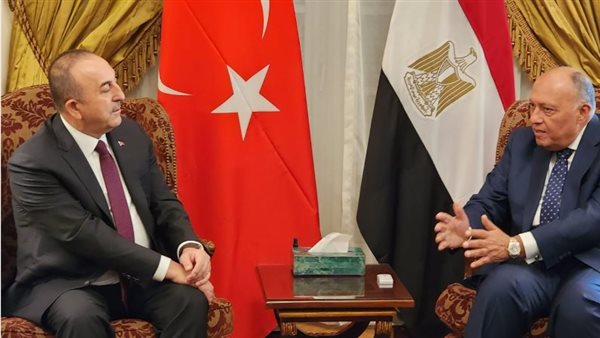 وزير الخارجية المصري