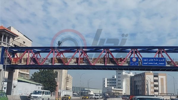 مالك مغسلة يعلق سجاد