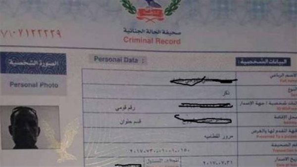 الفيش الجنائي