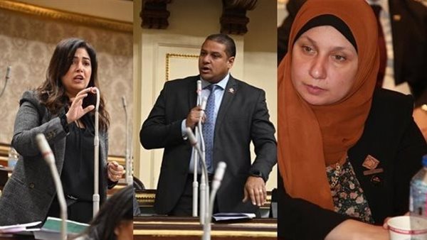 نواب تنسيقية شباب