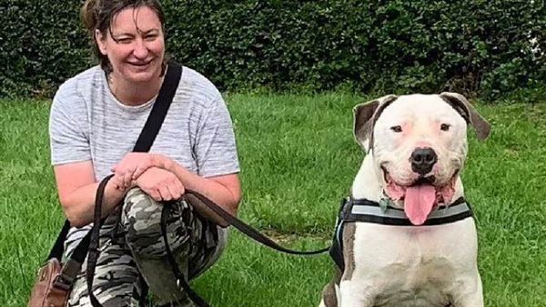 السيدة هاريس