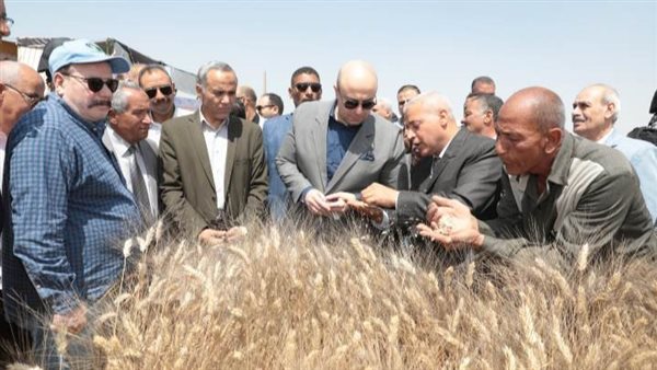 محافظ بني سويف