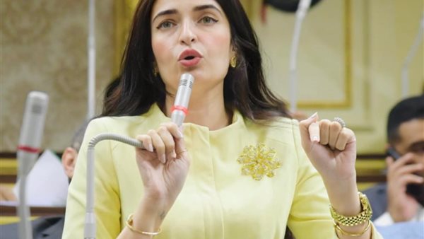  النائبة إيرين سعيد