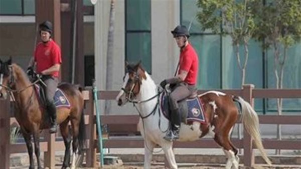 بطولة الفروسية