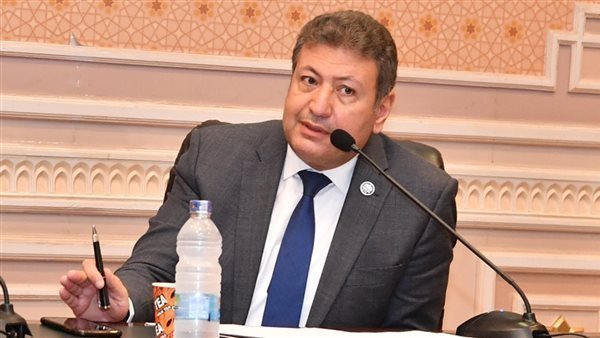 النائب طارق شكري