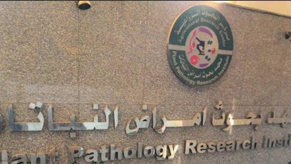 معهد بحوث أمراض النباتات