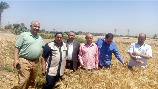 مستشار وزير الزراعة