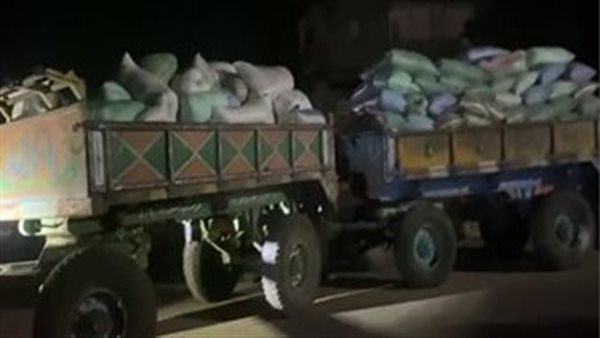 أقماح محلية