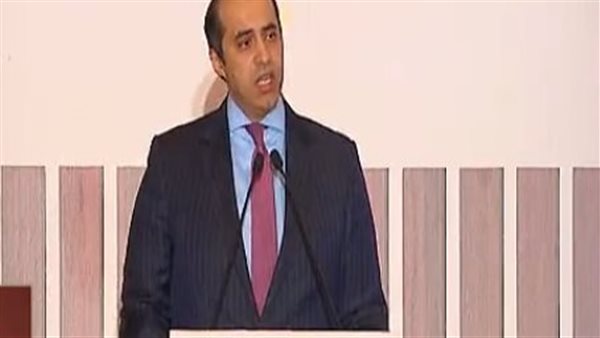 المستشار محمود فوزي