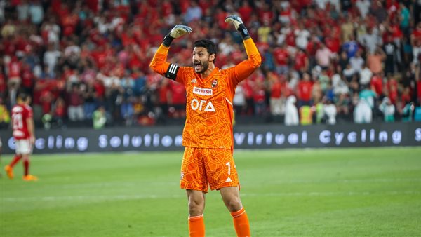 محمد الشناوي 