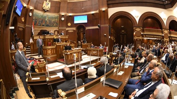 وزير التعليم العالى