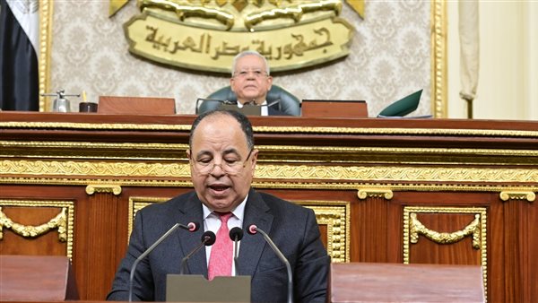 وزير المالية  بمجلس