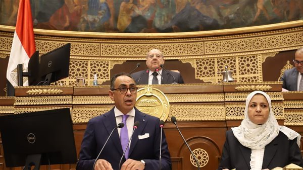 النائب هاني سري الدين