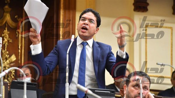 النائب ضياء الدين