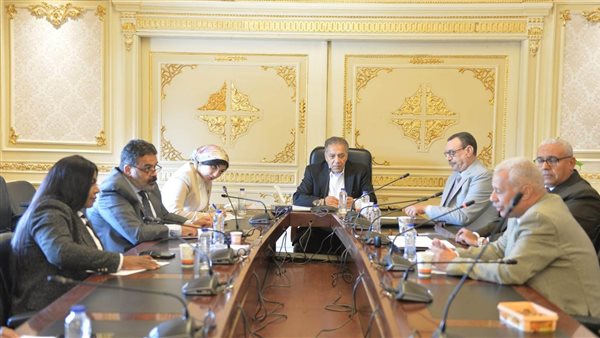 لجنة الشئون الإفريقية