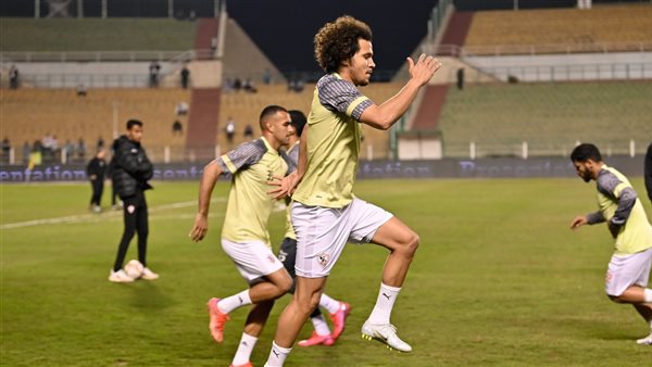 عمرو السيسي 