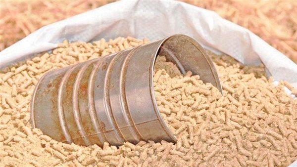 الإفراج الجمركي