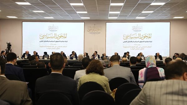 جلسة التمثيل النيابى