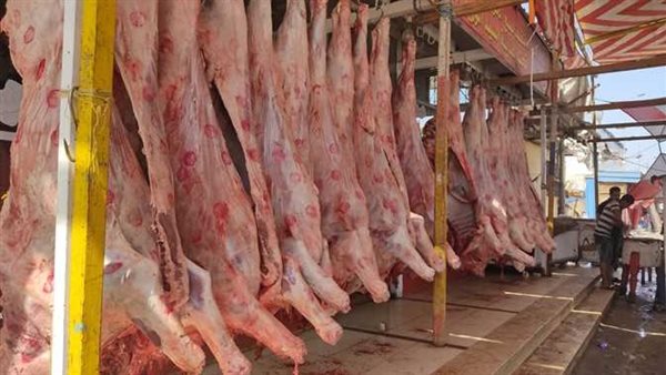 اسعار اللحوم الحمراء