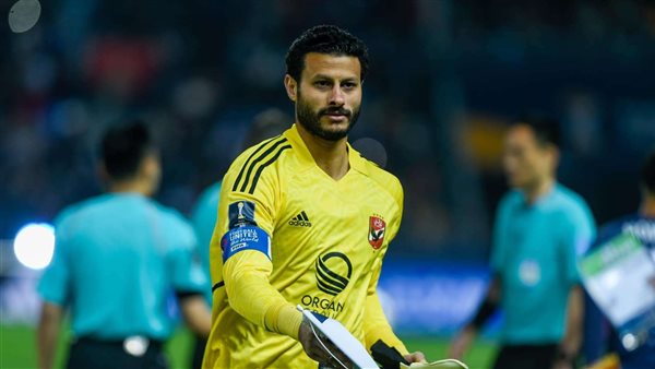 محمد الشناوي 