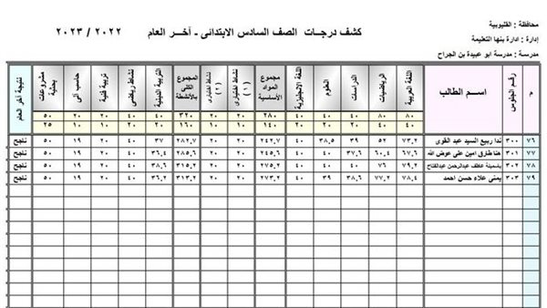 نتيجة الصف السادس