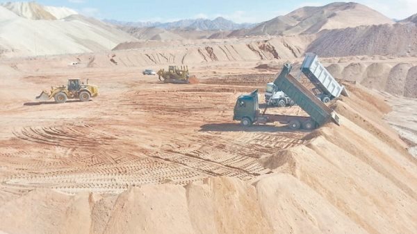 تنمية المشروعات 