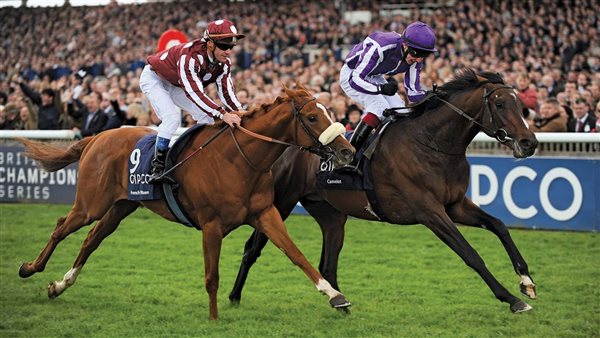 مسابقات الخيول