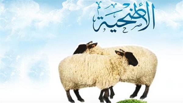 أضحية العيد