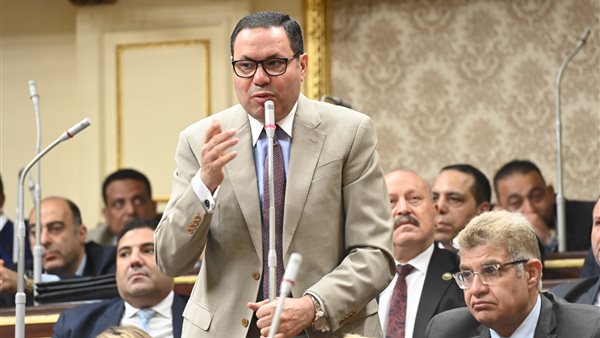 النائب هشام الحصرى