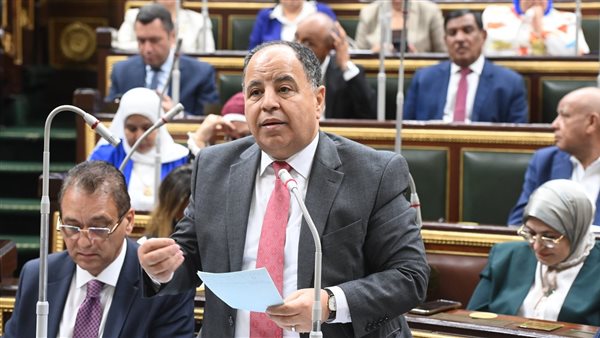 وزير المالية