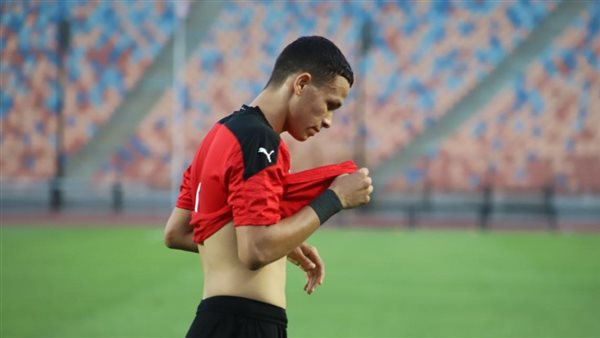 أحمد نادر حواش 