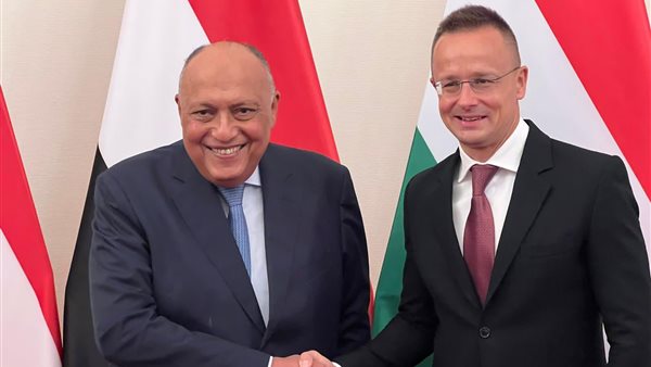 وزير الخارجية المصري