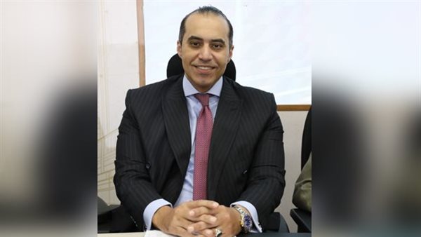 المستشار محمود فوزي